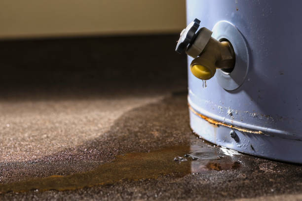 Best Water damage restoration near me  in Pearl City, HI