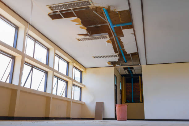 Best Carpet water damage restoration  in Pearl City, HI