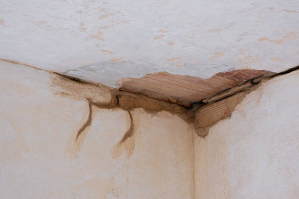 Best Sewage cleanup and water damage restoration  in Pearl City, HI