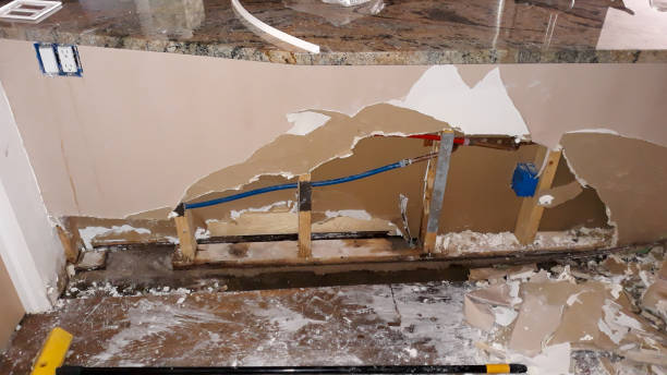 Best Water damage restoration experts  in Pearl City, HI