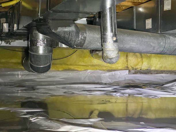 Best Flood damage cleanup  in Pearl City, HI
