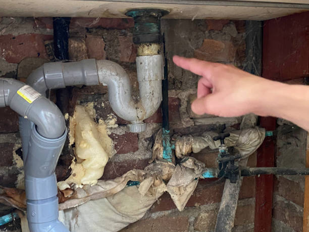 Best Basement water damage restoration  in Pearl City, HI
