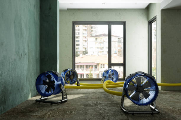 Water damage restoration mold remediation in Pearl City, HI